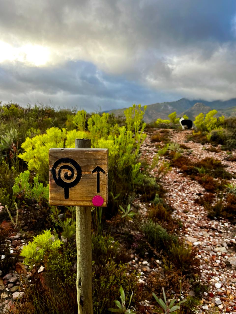 94e8d42f-feff-4f71-80b3-5c69684881c3 1