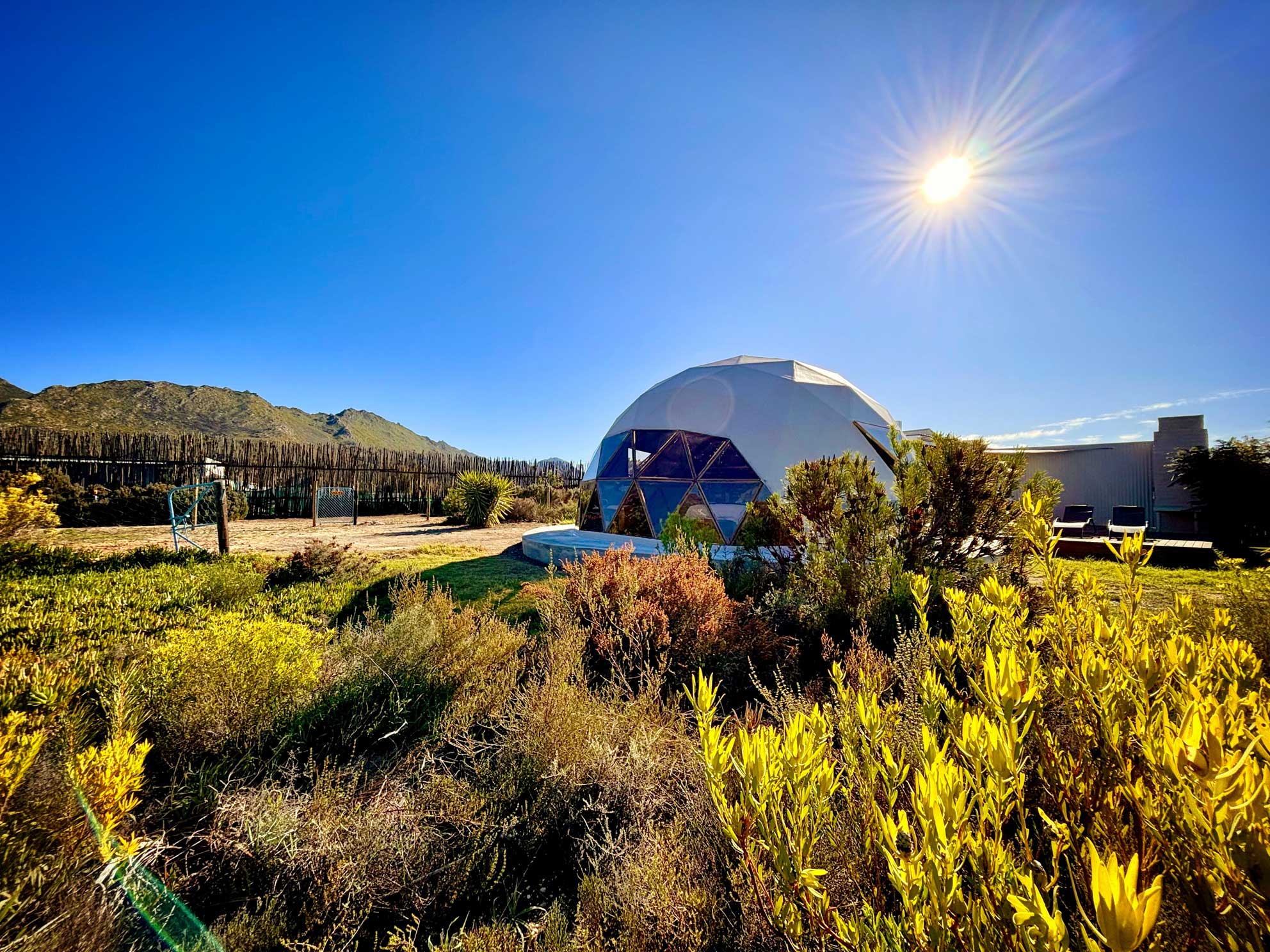 Gaia StarDome at Starry Starry Night